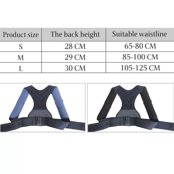 Braces and Supports for Back 4