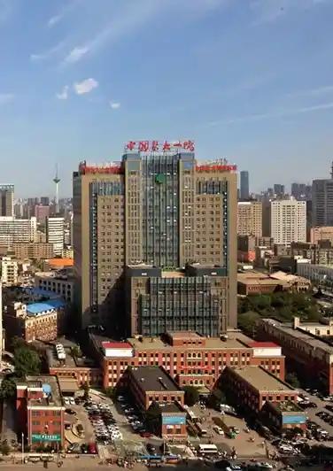 The First Affiliated Hospital of China Medical University